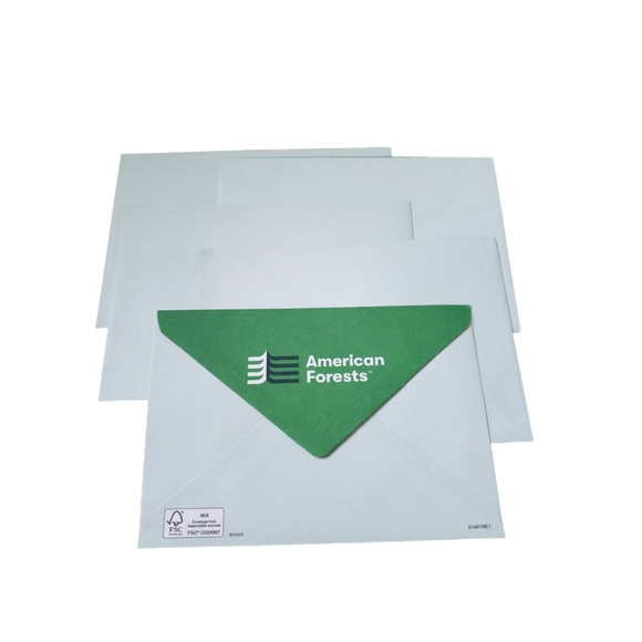 ☕ Nature Greeting Cards set of 5 - Picture 8 of 12